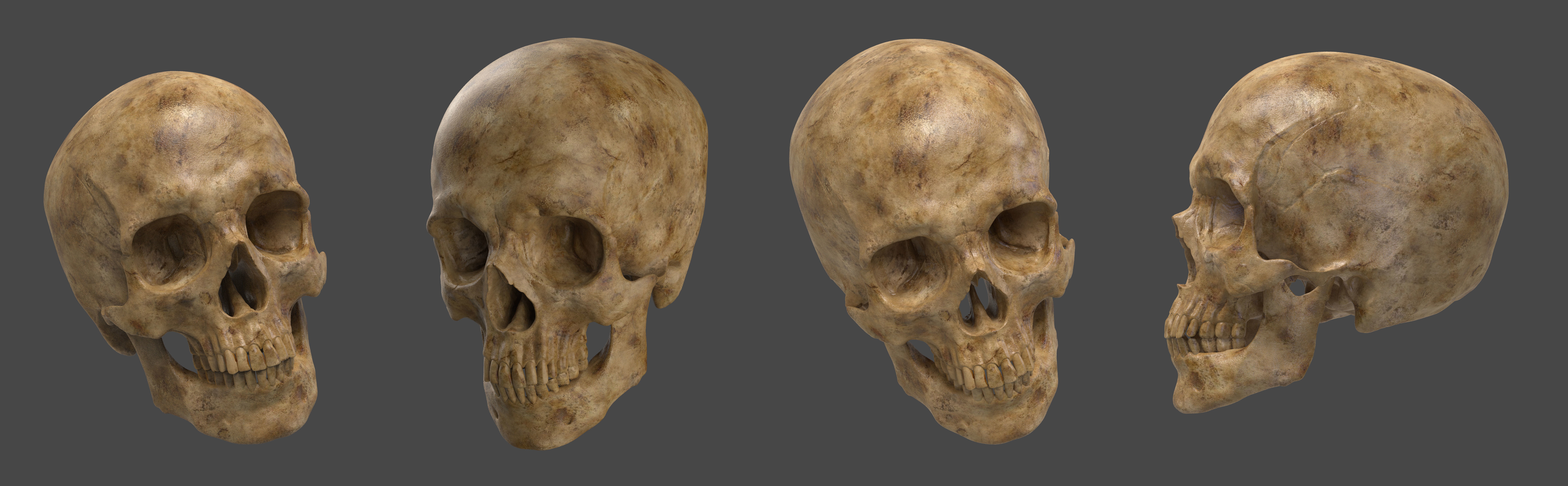 Human Skull 3D print model_3