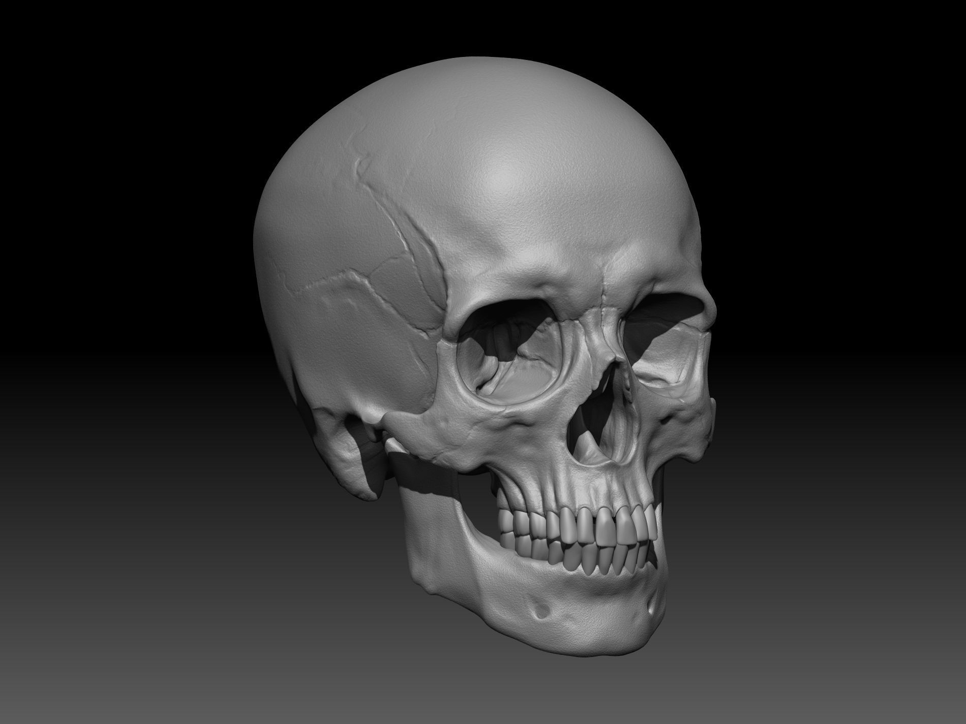 Human Skull 3D print model_4