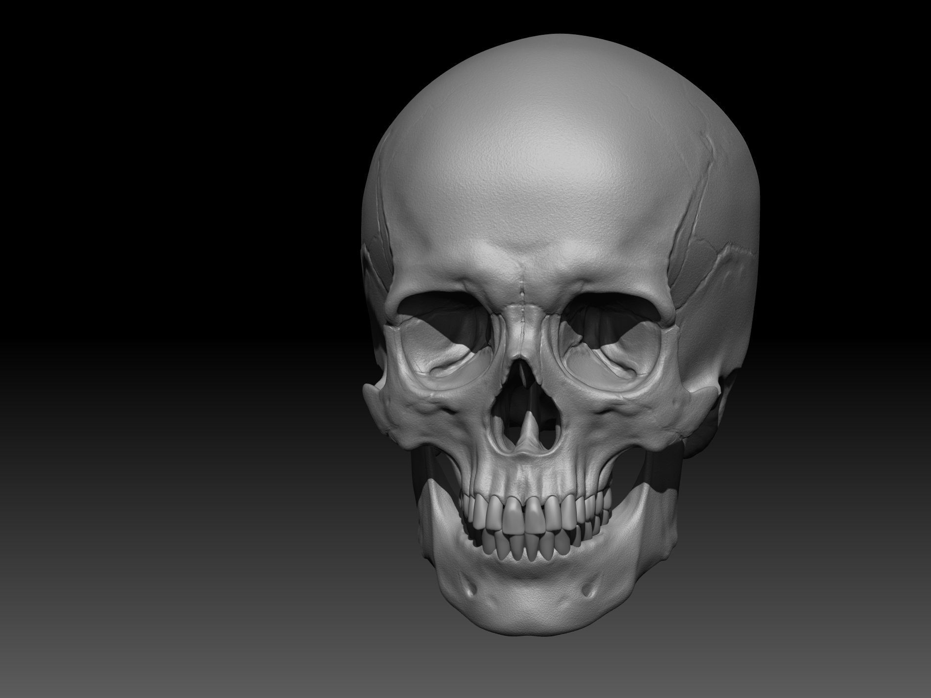 Human Skull 3D print model_6