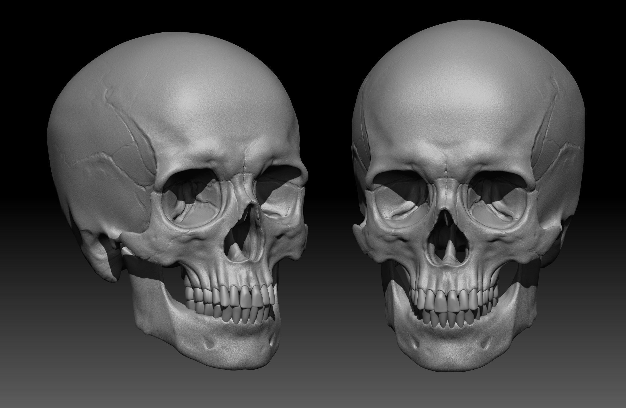 Human Skull 3D print model_1