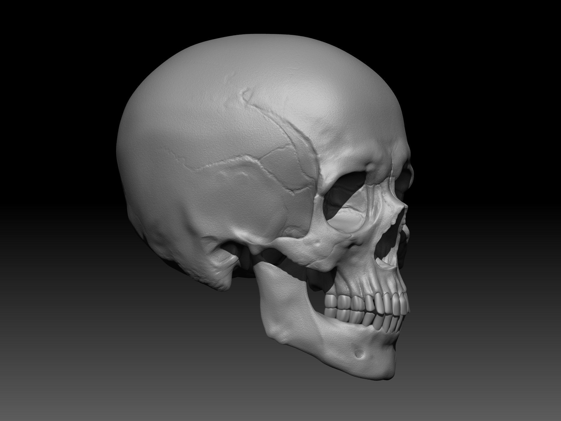 Human Skull 3D print model_5