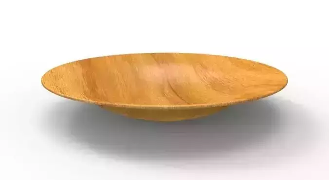 Dinner Plate 3D 3D print model