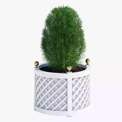 Round treillage planters 4