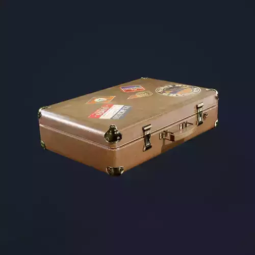 Leather Suitcase Luggage Travel Hotel Game Ready