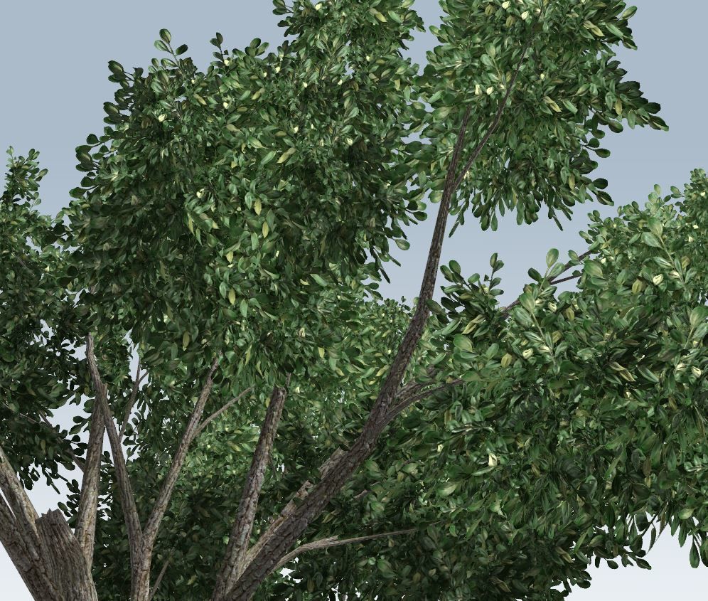 Simple tree 3D model_10