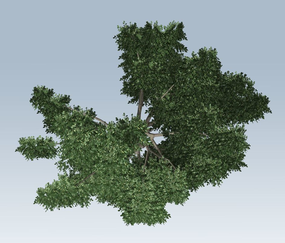 Simple tree 3D model_7