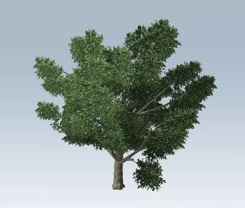 Simple tree 3D model_0