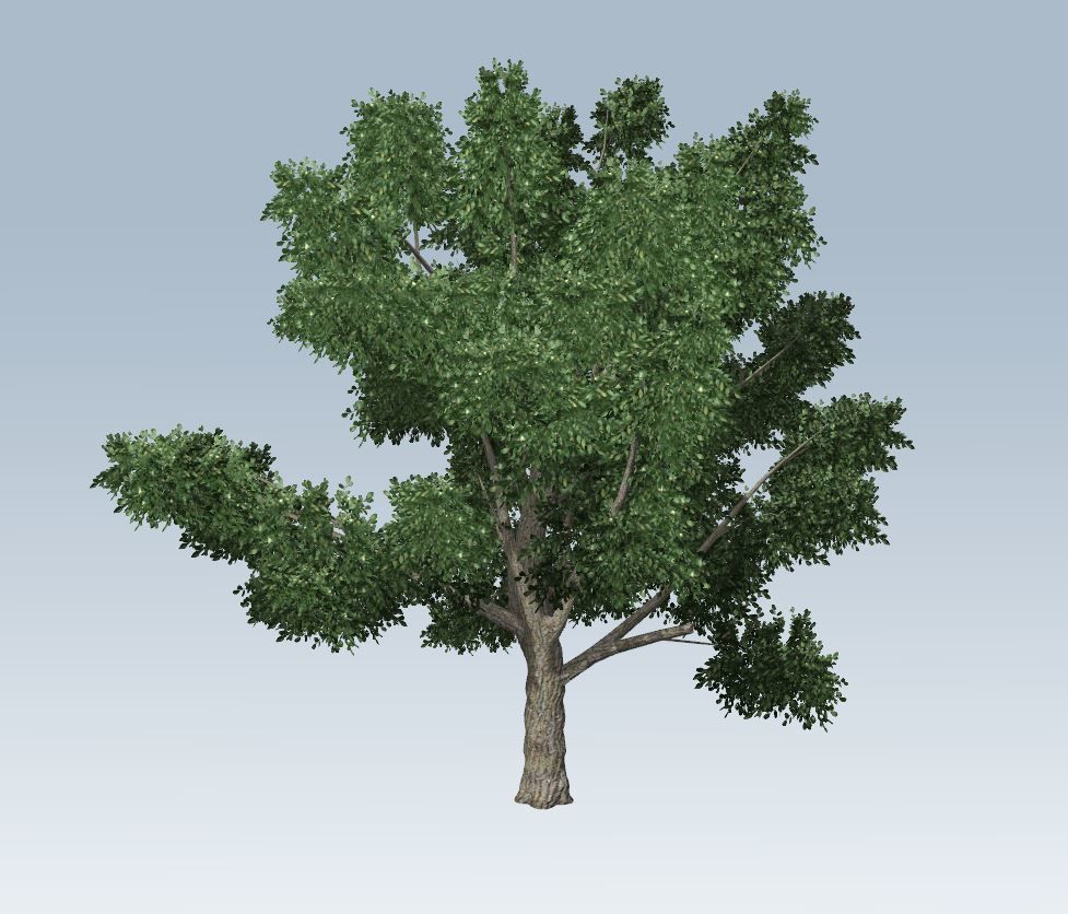 Simple tree 3D model_2