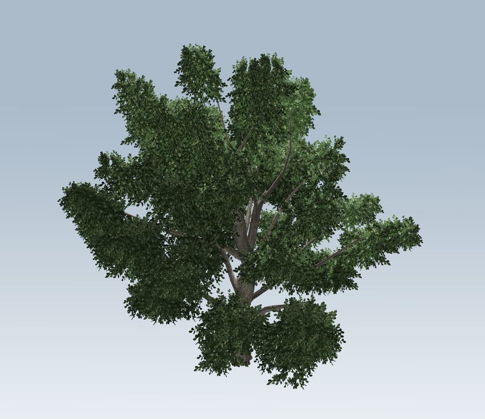 Simple tree 3D model_6