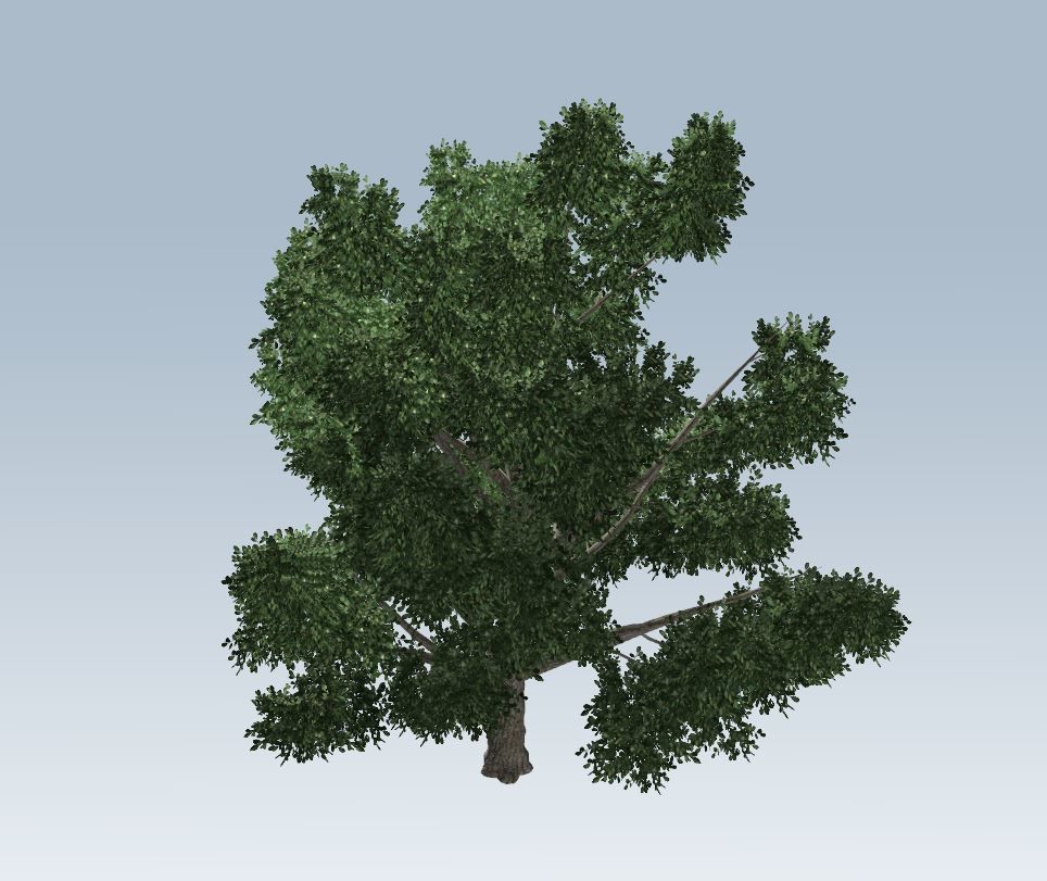 Simple tree 3D model_5