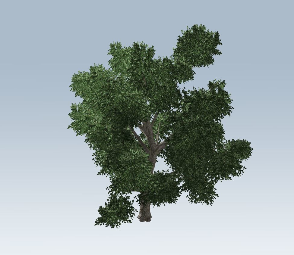 Simple tree 3D model_3