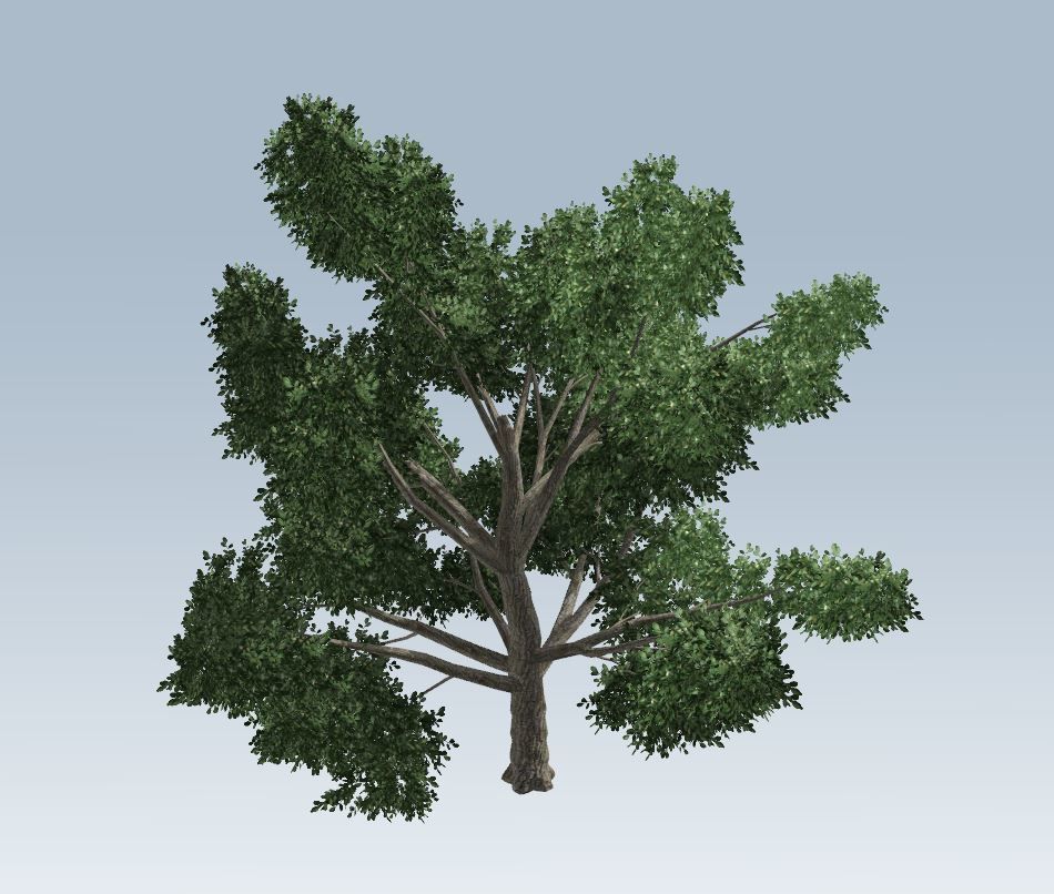 Simple tree 3D model_4