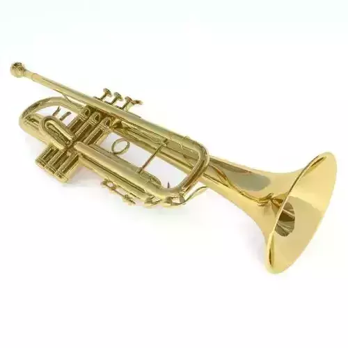 Trumpet gold