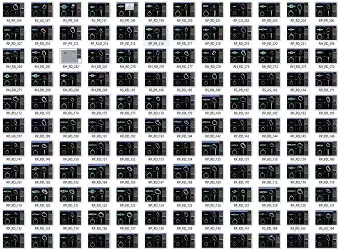 BULK-3DM-WithOut Gems-RING 141 Files