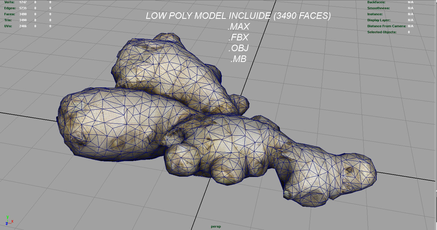 FRUIT AND VEGETABLES COLLECTION PACK _54