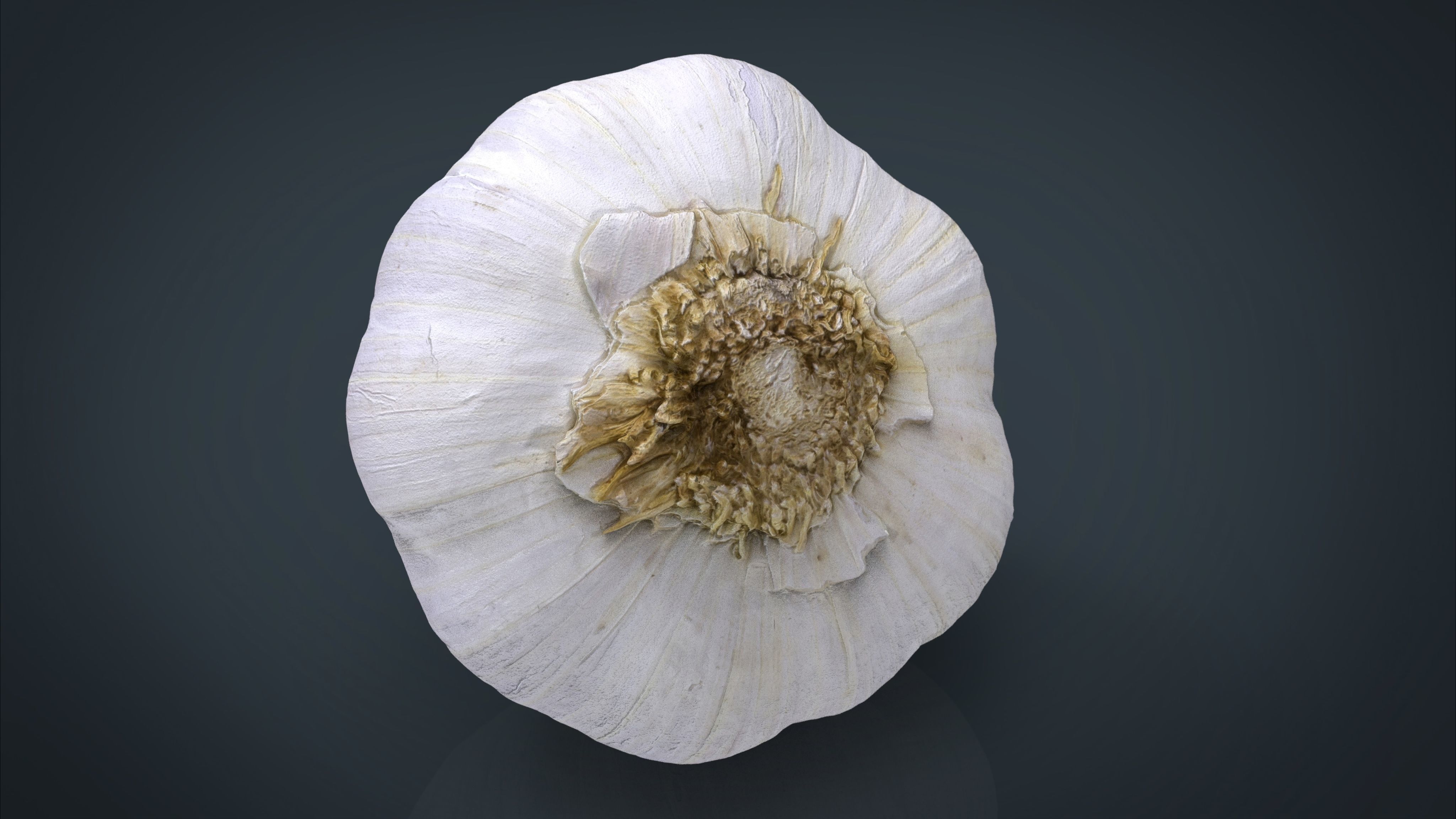 FRUIT AND VEGETABLES COLLECTION PACK _32