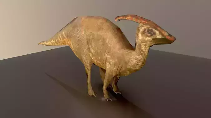 Raptor dinosaur  