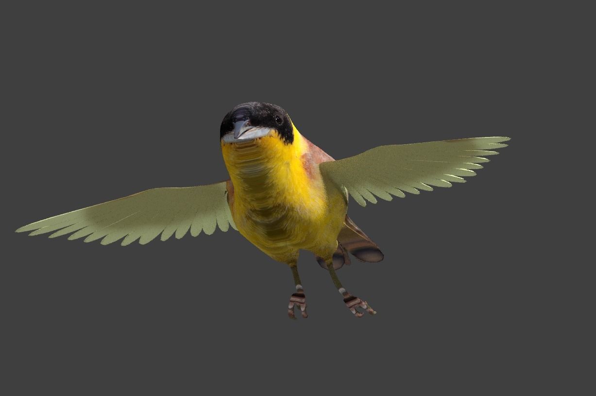 bunting animated Low-poly 3D model_2