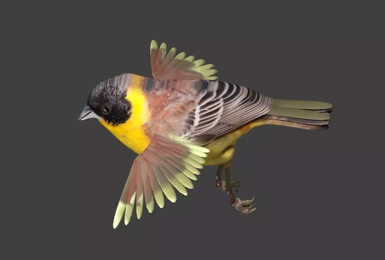 bunting animated Low-poly 3D model_0