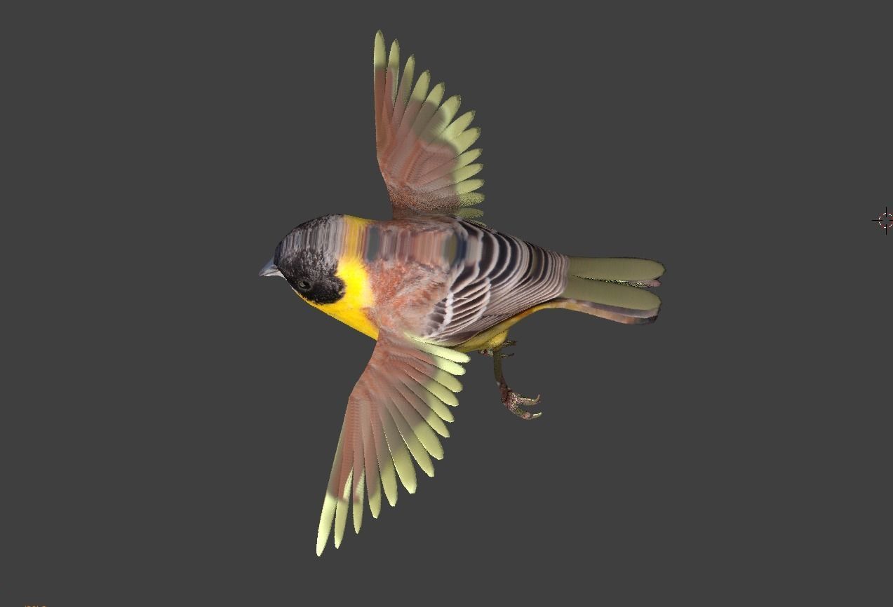 bunting animated Low-poly 3D model_5