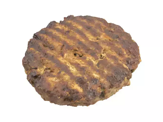 Photorealistic Beef Burger Patty 3D Scan