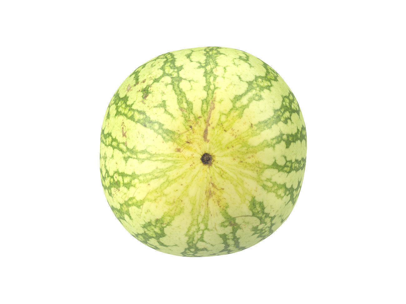 Photorealistic Watermelon 3D Scan 3D model_5