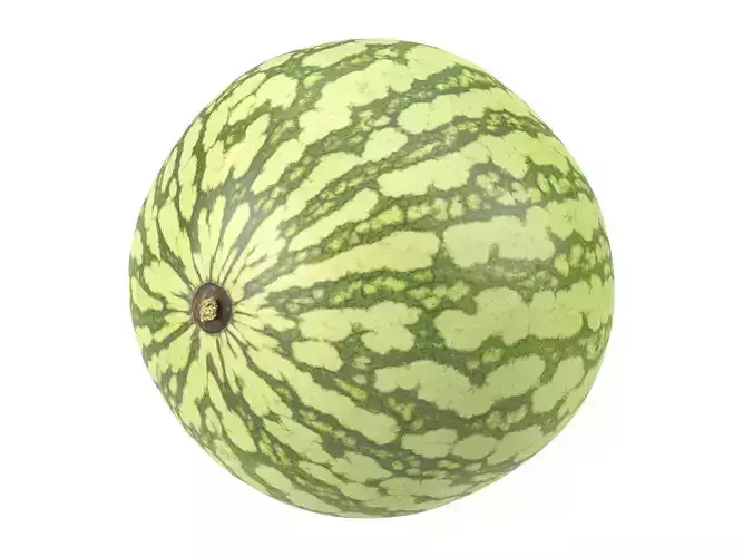 Photorealistic Watermelon 3D Scan 3D model