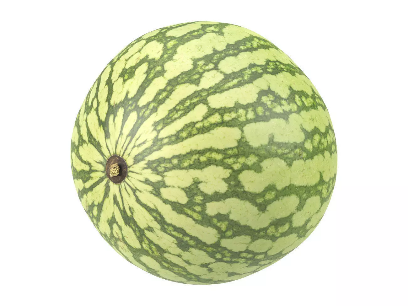 Photorealistic Watermelon 3D Scan 3D model_0