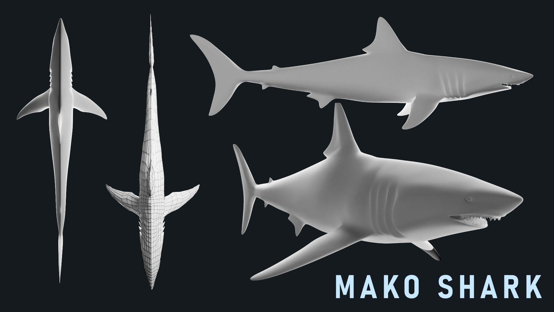 Low-Poly Shark Mesh Collection Low-poly 3D model_9