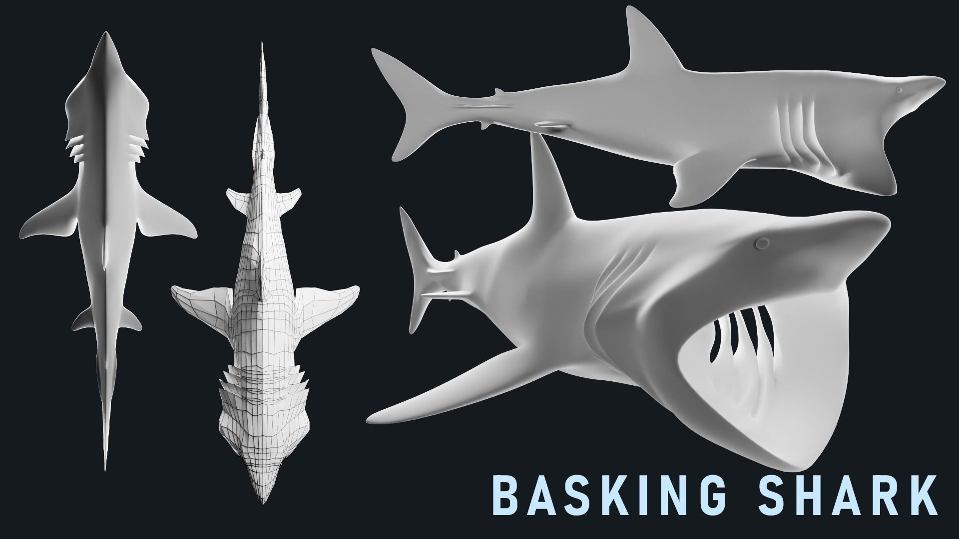 Low-Poly Shark Mesh Collection Low-poly 3D model_5