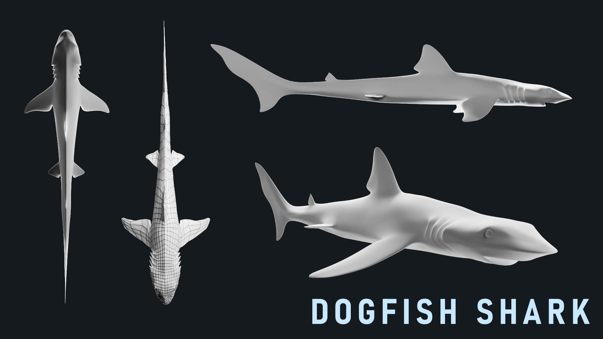 Low-Poly Shark Mesh Collection Low-poly 3D model_6