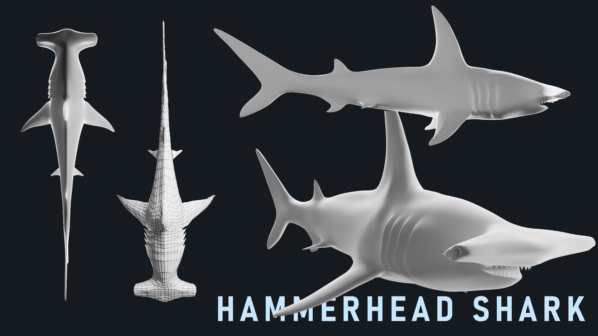 Low-Poly Shark Mesh Collection Low-poly 3D model_8