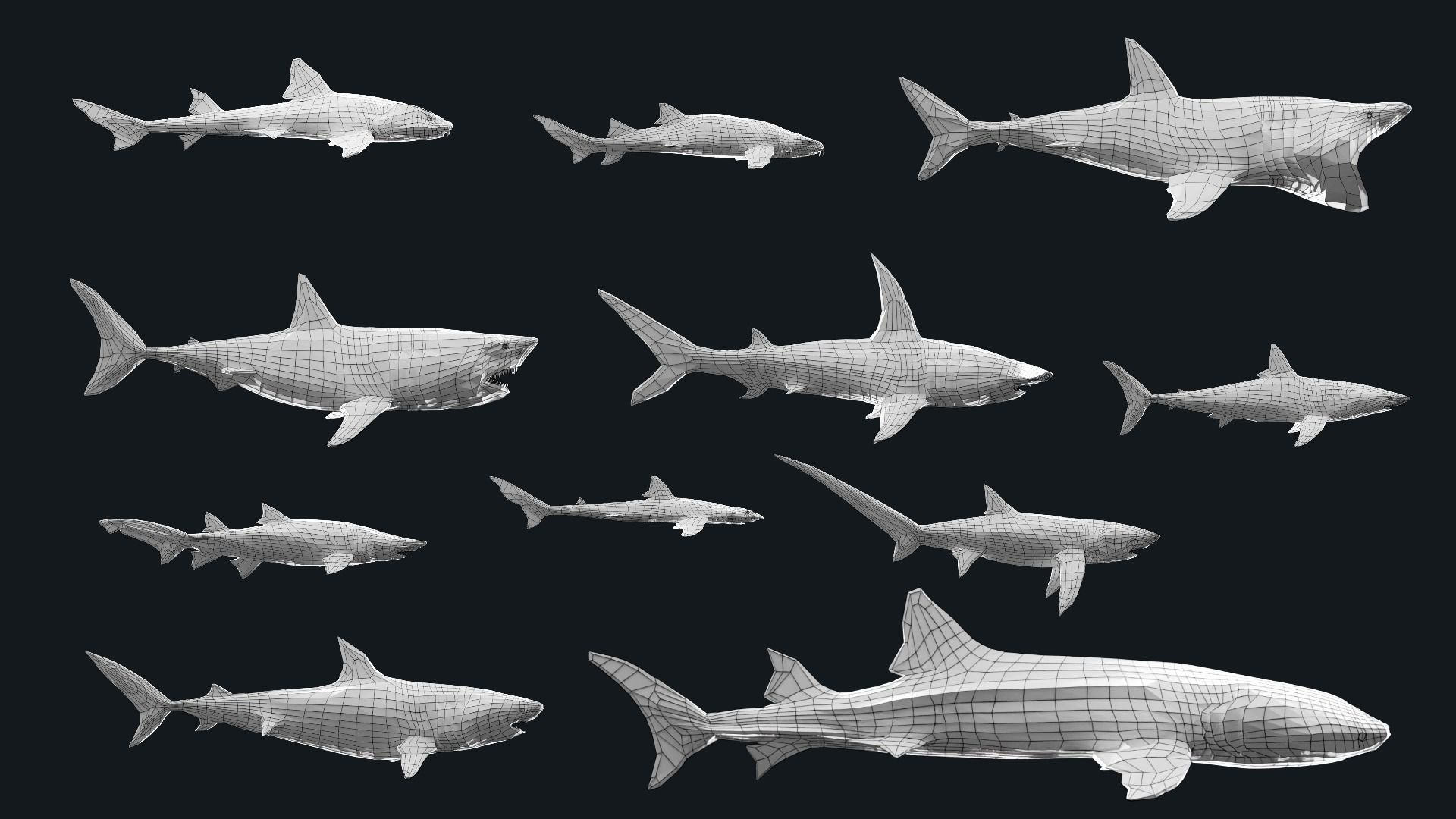 Low-Poly Shark Mesh Collection Low-poly 3D model_3