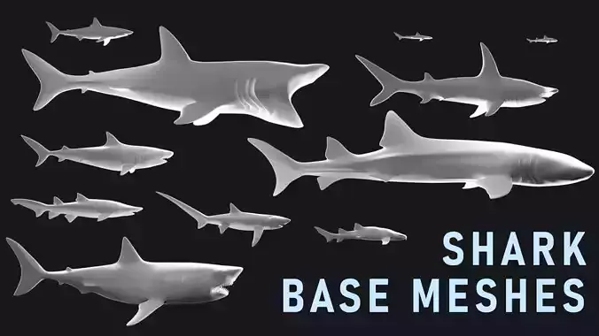 Low-Poly Shark Mesh Collection Low-poly 3D model Low-Poly Shark Mesh Collection Low-poly 3D model