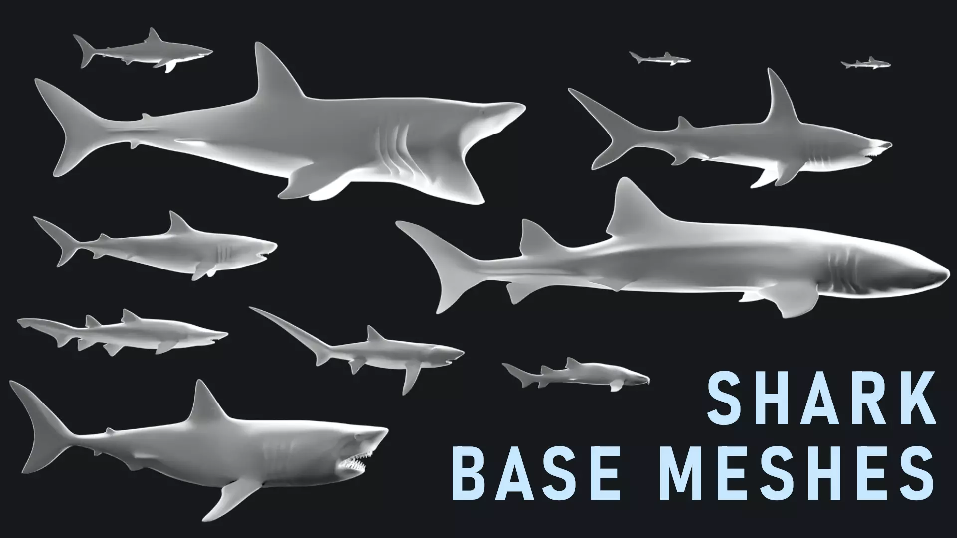Low-Poly Shark Mesh Collection Low-poly 3D model_0