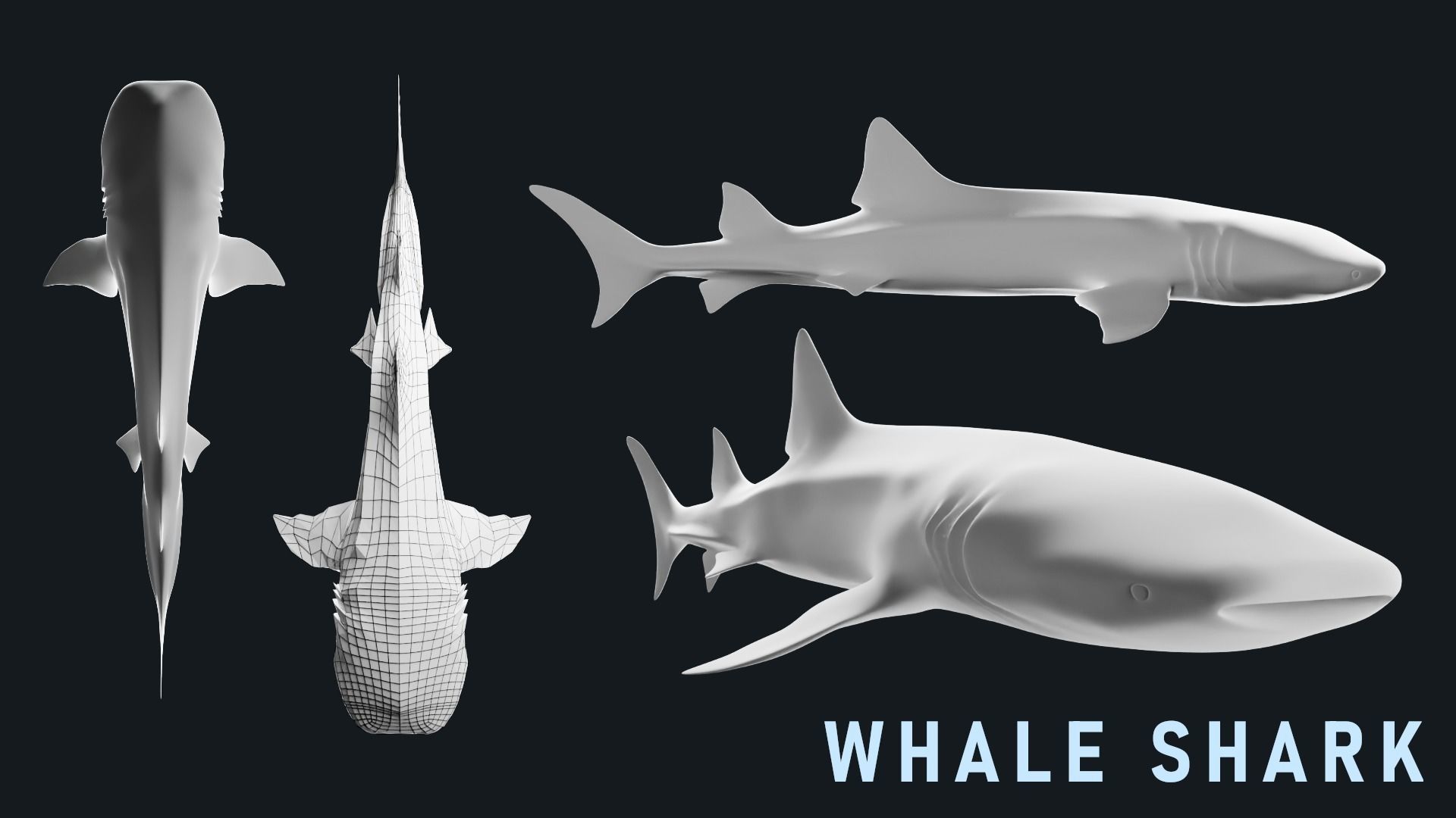 Low-Poly Shark Mesh Collection Low-poly 3D model_14