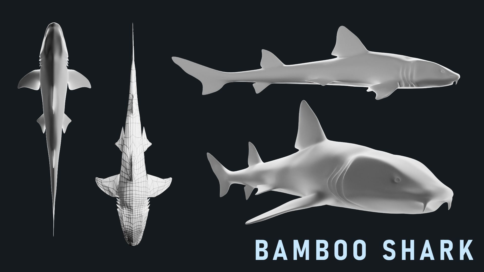 Low-Poly Shark Mesh Collection Low-poly 3D model_4