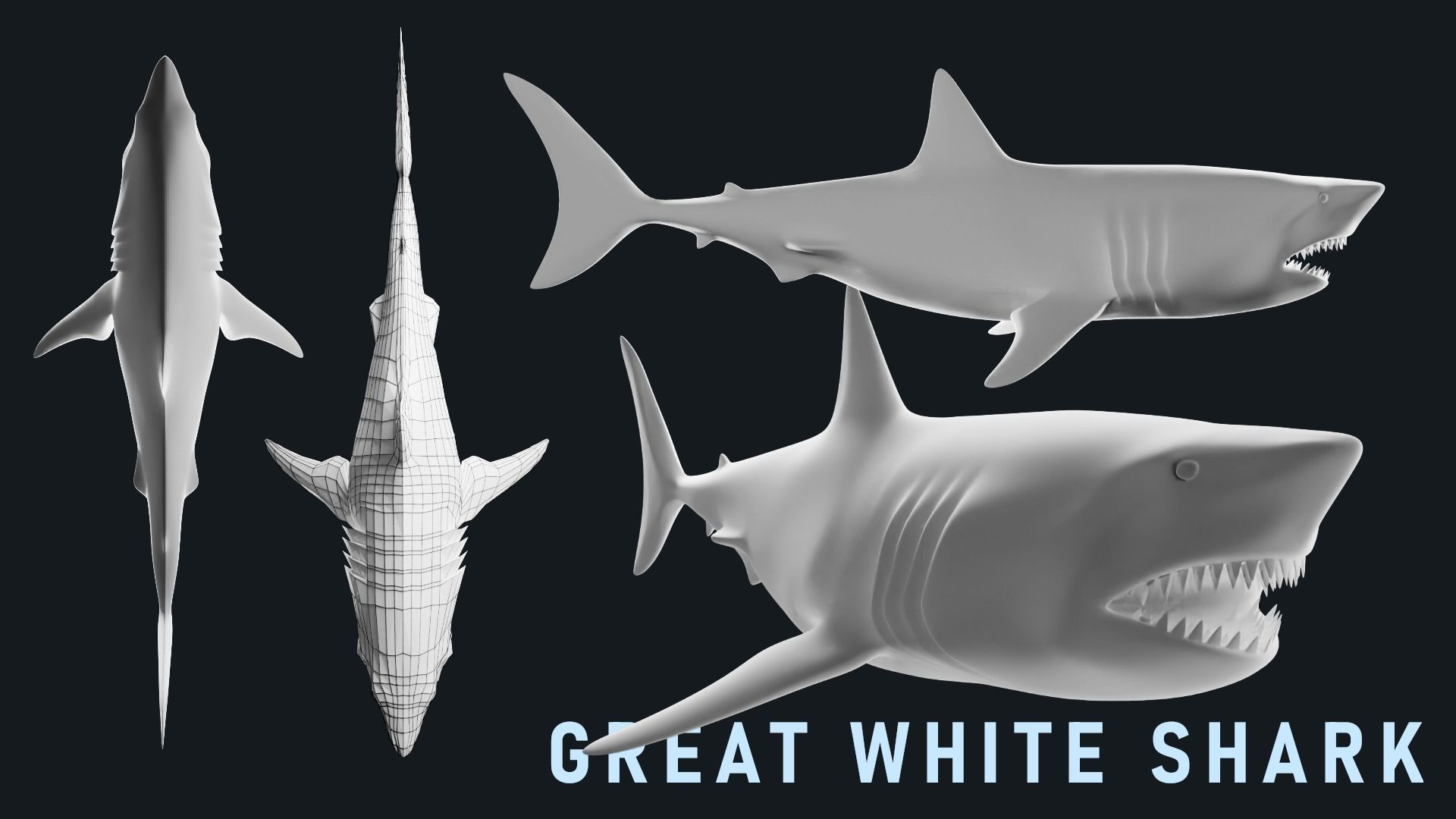 Low-Poly Shark Mesh Collection Low-poly 3D model_7