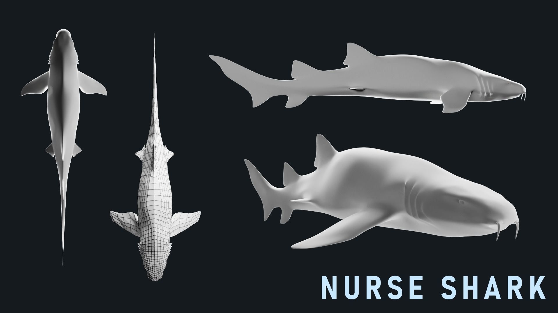 Low-Poly Shark Mesh Collection Low-poly 3D model_10
