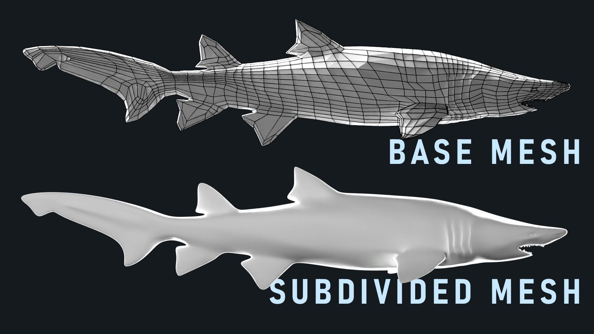 Low-Poly Shark Mesh Collection Low-poly 3D model_2