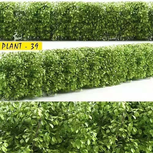 BUSH 39 3D model