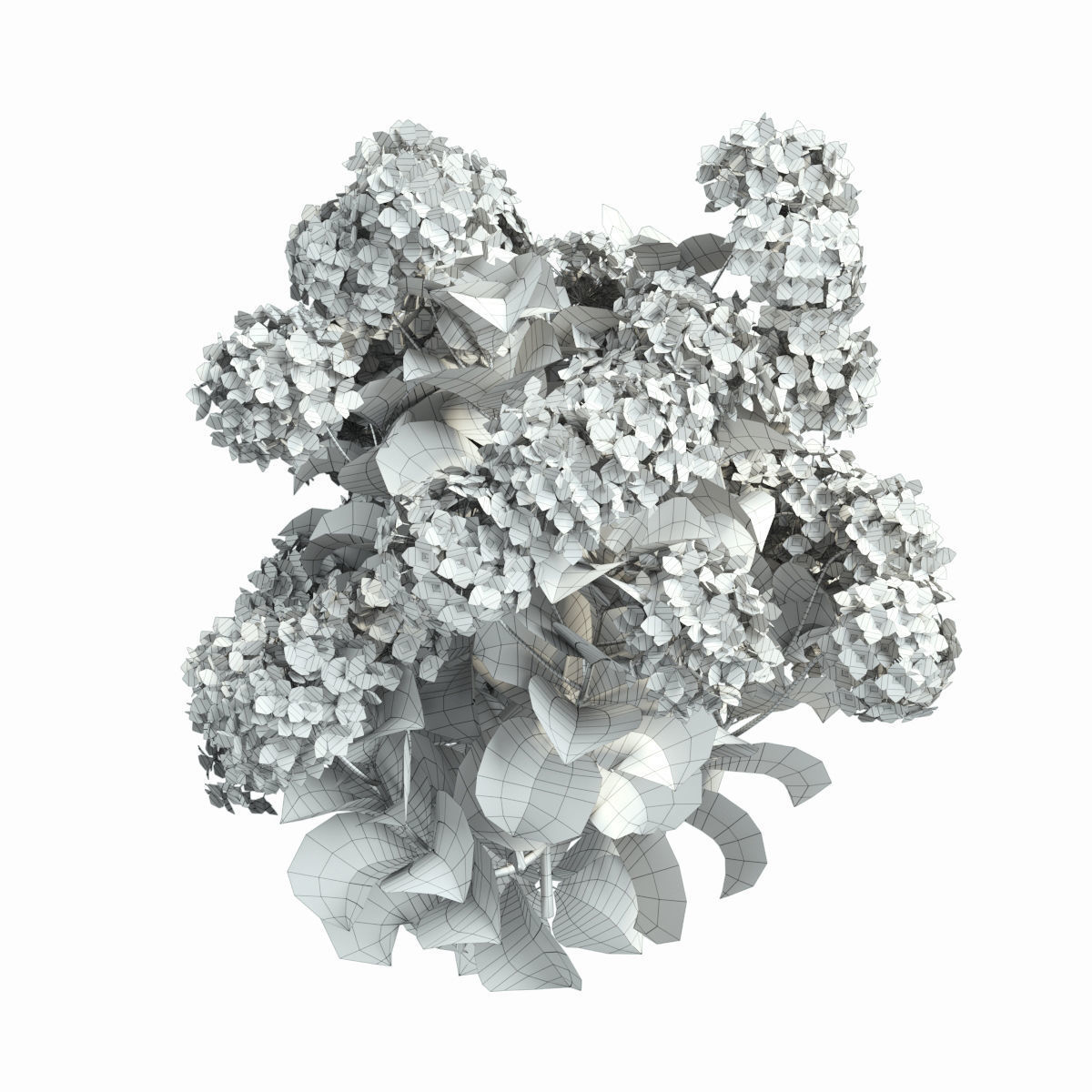 Plants Hydrangea set 02  3D model_13