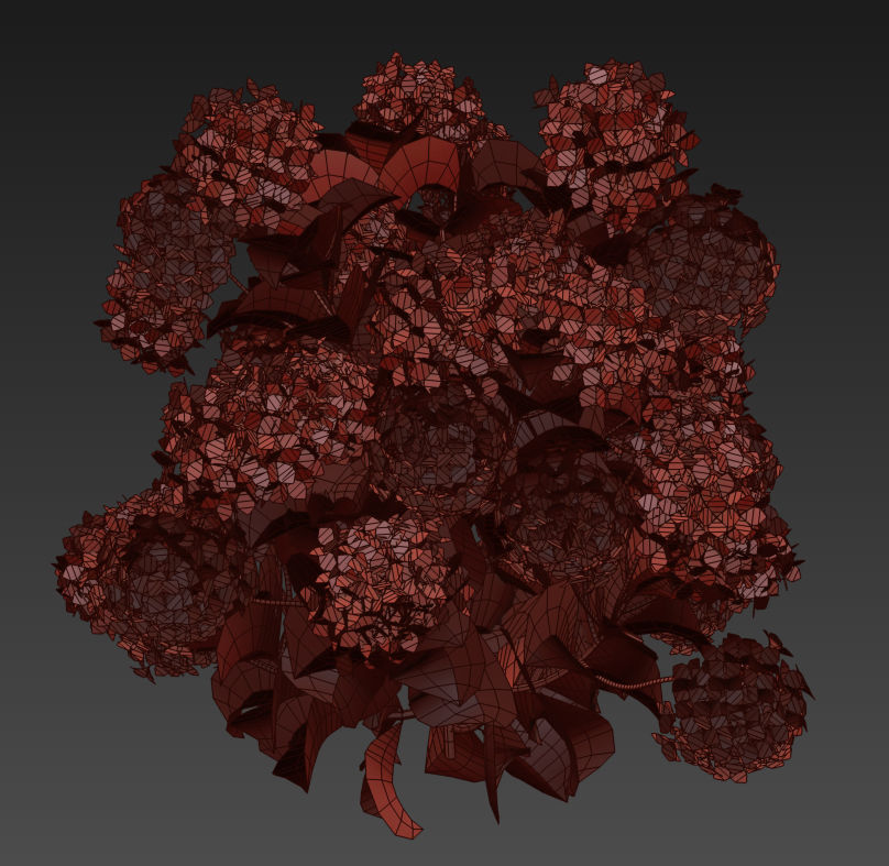 Plants Hydrangea set 02  3D model_10