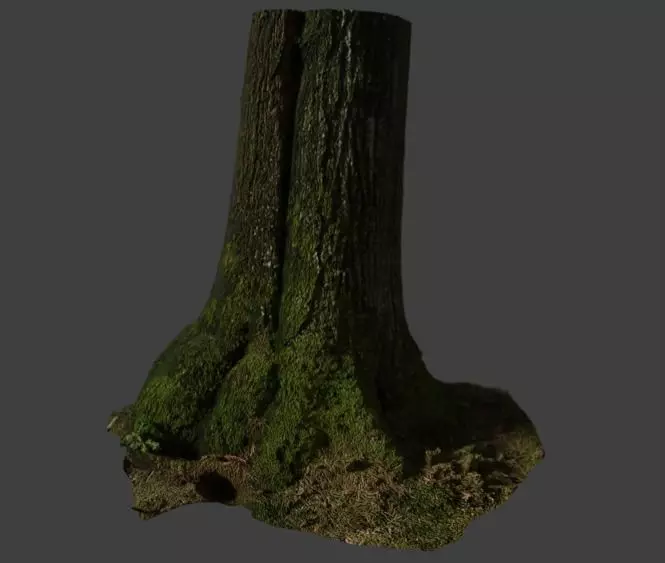 Tree Stam 3D model