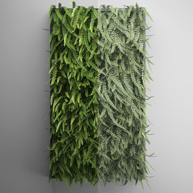 Vertical gardening Fern Wall 3D model_4