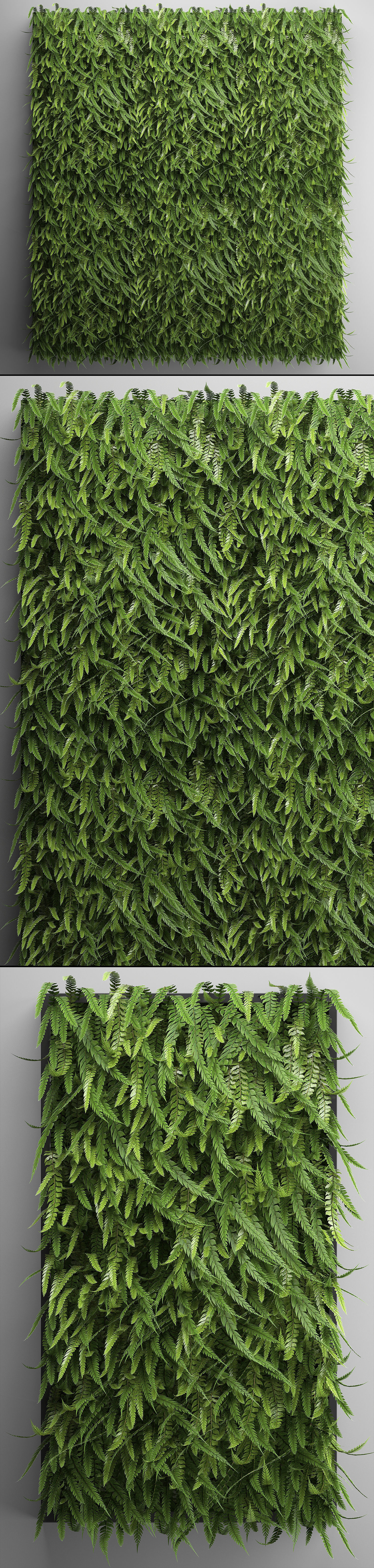 Vertical gardening Fern Wall 3D model_11