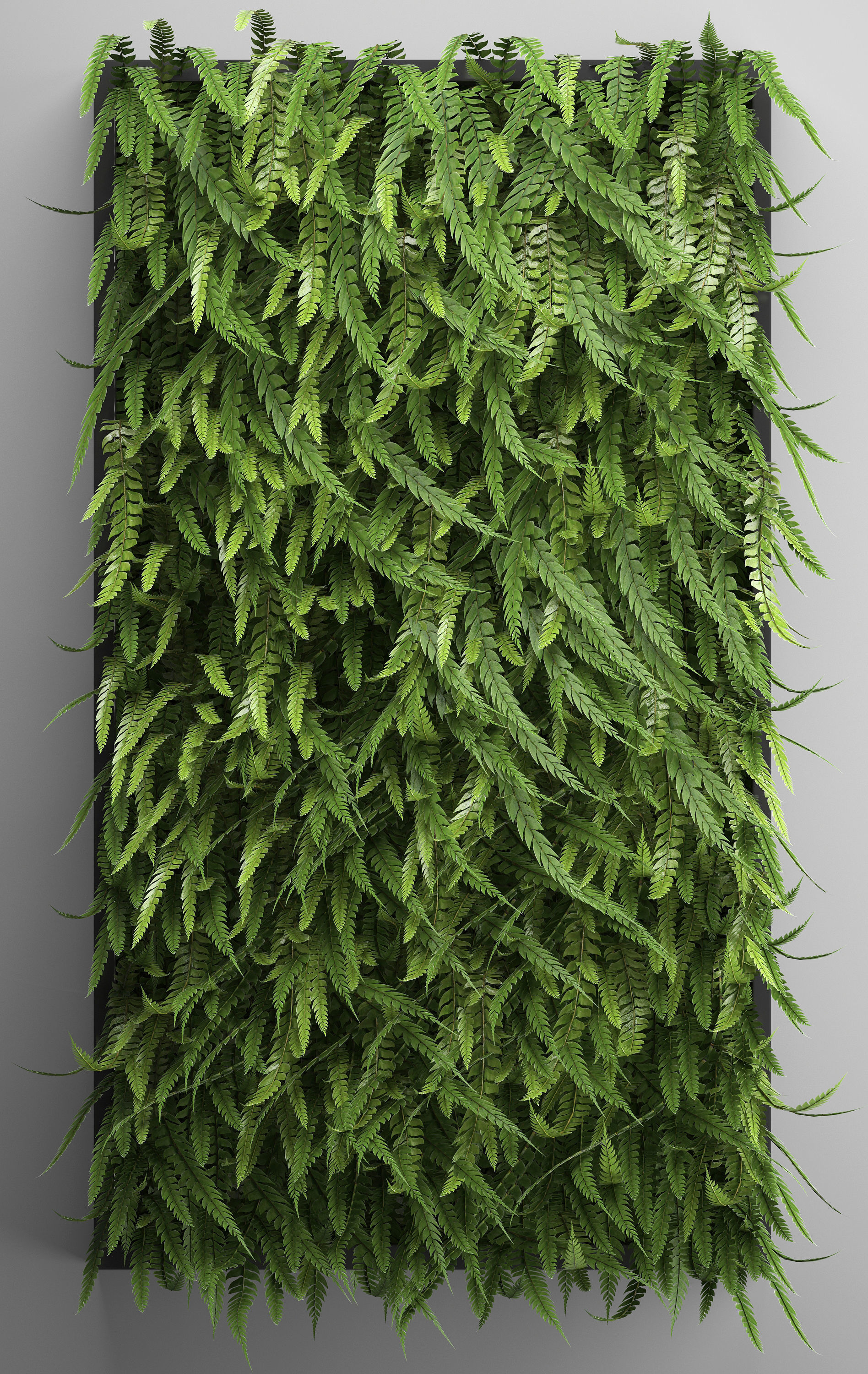 Vertical gardening Fern Wall 3D model_2