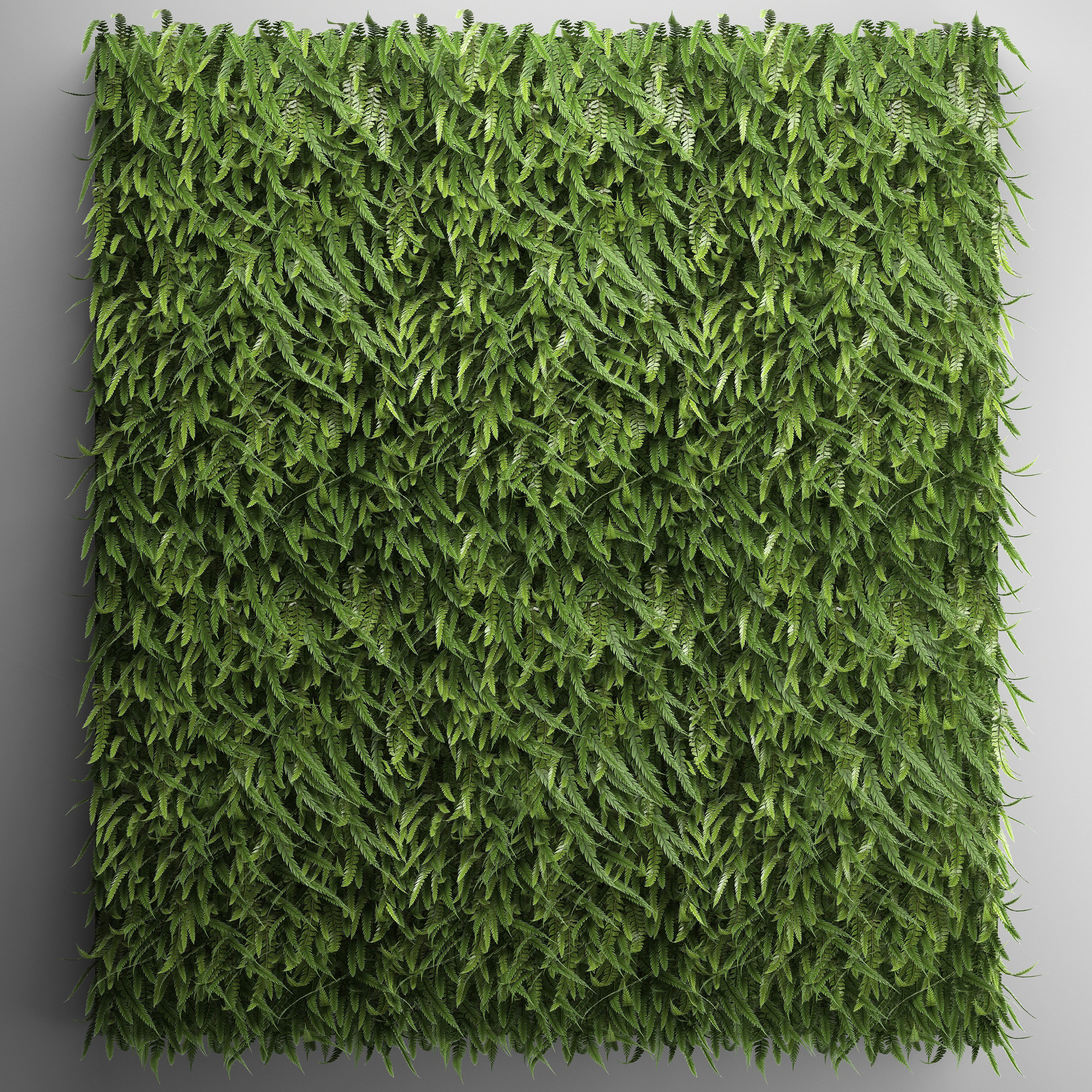 Vertical gardening Fern Wall 3D model_1