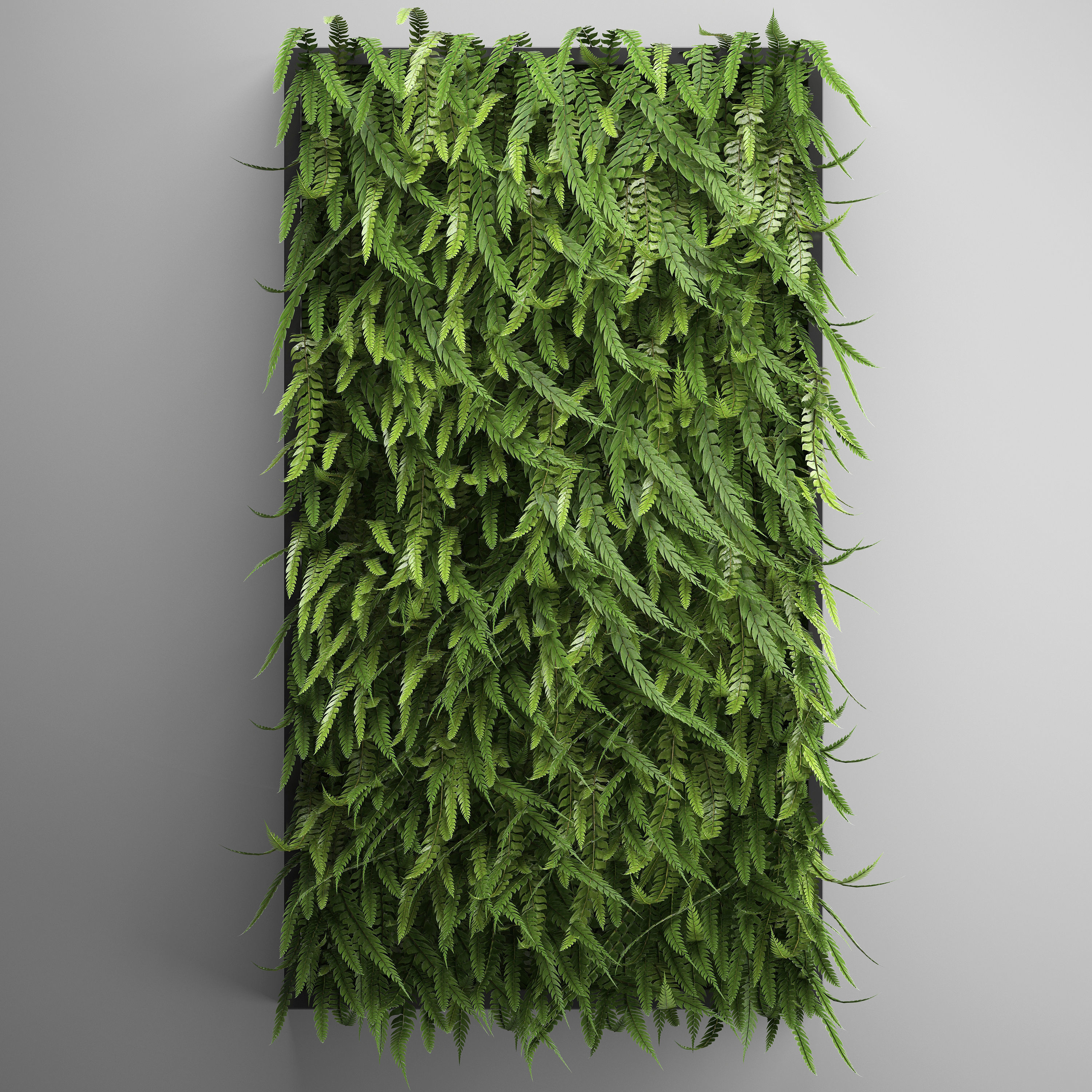 Vertical gardening Fern Wall 3D model_3