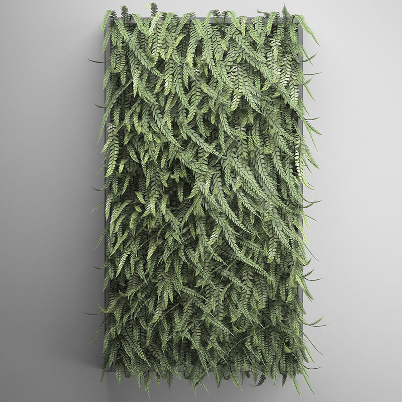 Vertical gardening Fern Wall 3D model_5
